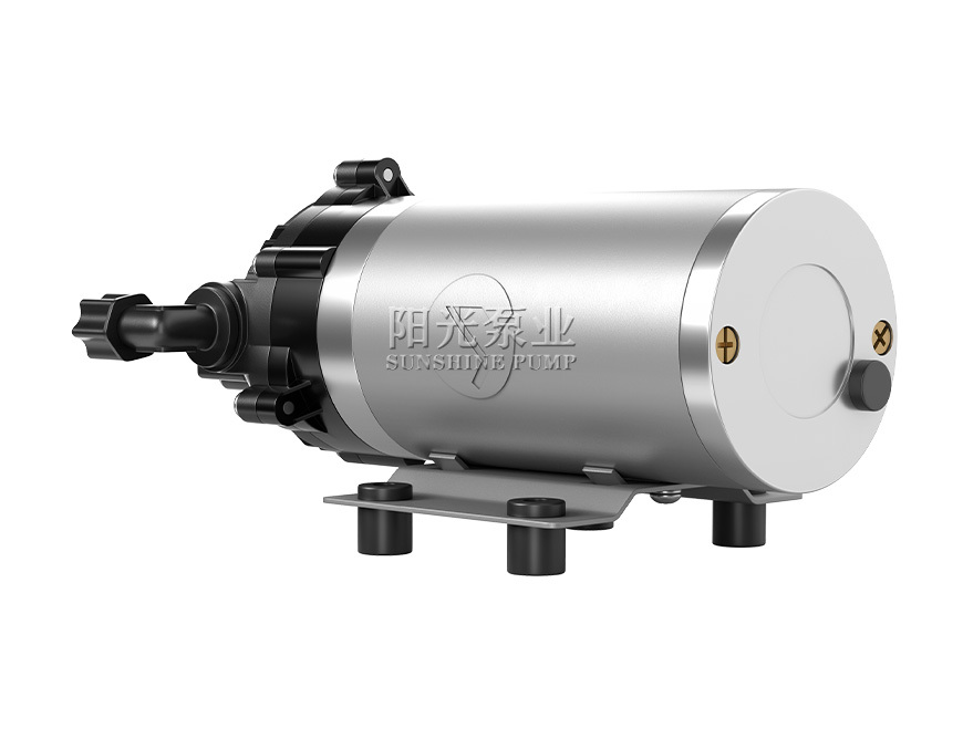 DP-3