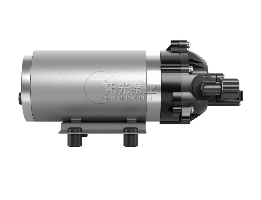 DP-4